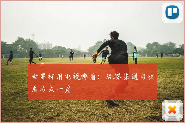 世界杯用电视哪看：观赛渠道与收看方式一览