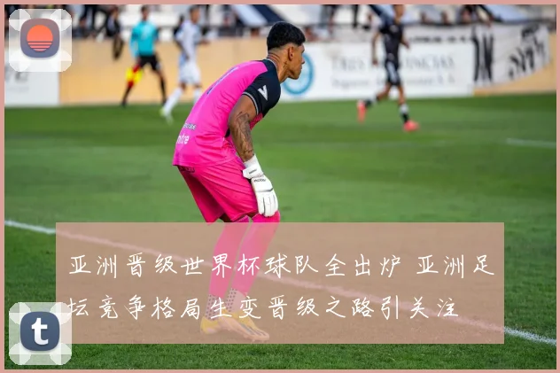 亚洲晋级世界杯球队全出炉 亚洲足坛竞争格局生变晋级之路引关注