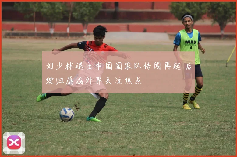 刘少林退出中国国家队传闻再起 后续归属成外界关注焦点