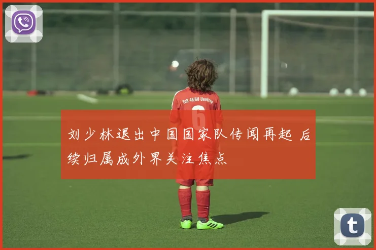 刘少林退出中国国家队传闻再起 后续归属成外界关注焦点