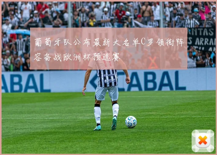 葡萄牙队公布最新大名单C罗领衔阵容备战欧洲杯预选赛