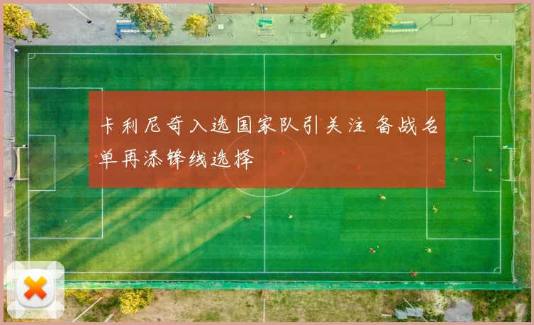 卡利尼奇入选国家队引关注 备战名单再添锋线选择